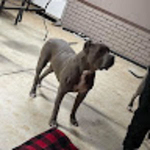 Meet your Posher, Luis